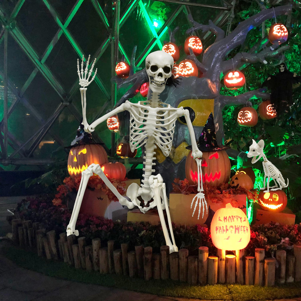 5.4Ft Posable Halloween Skeleton with Dog Cat Skeleton J8105