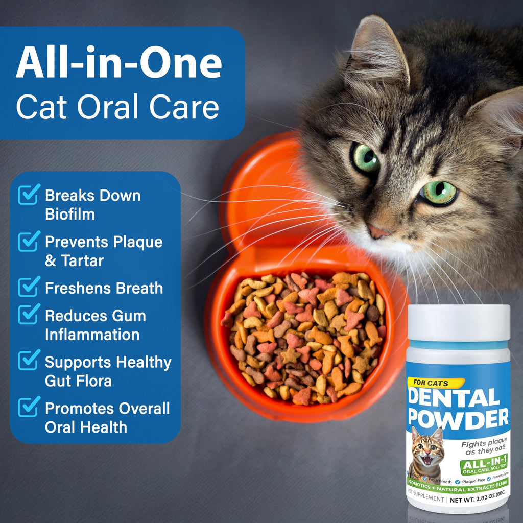 Cat Dental Powder A260595